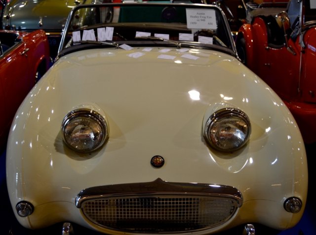 aaaaa (21)